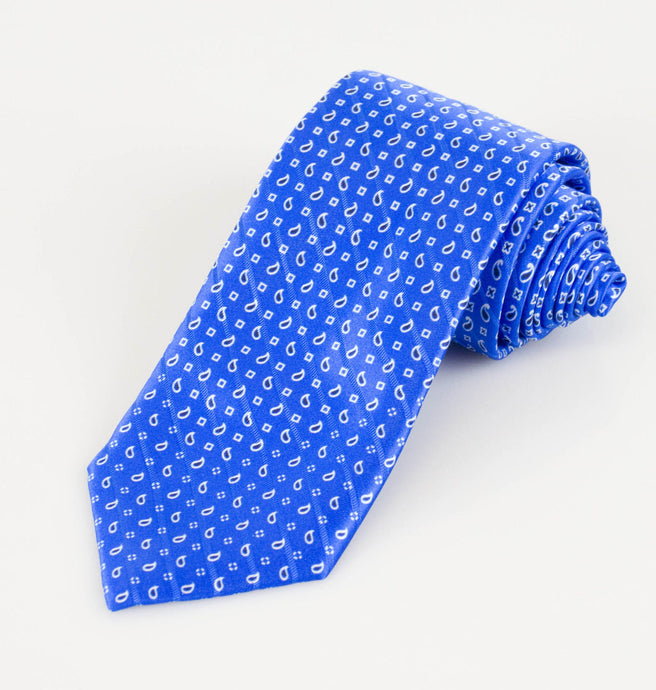 Blue with Paisley Pattern 100% Silk Satin Neck Tie