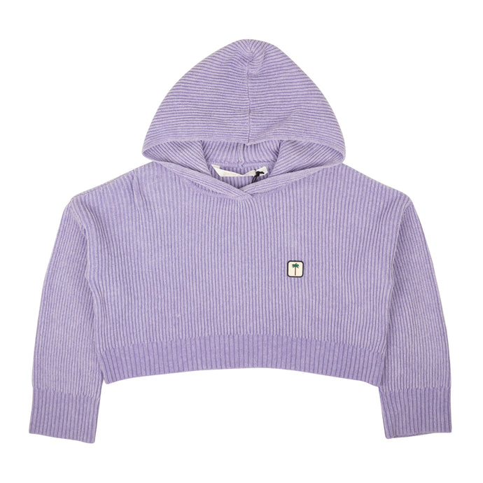 Lilac PXP Sweater Ribbed Cropped Hoodie