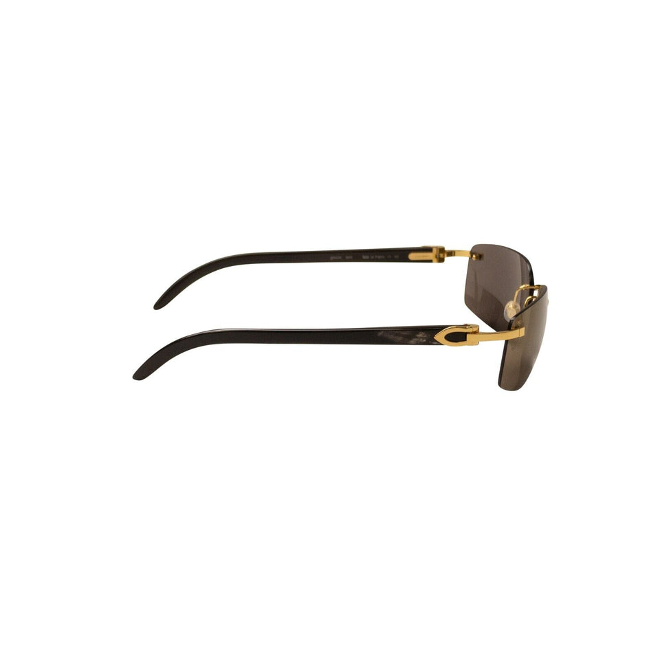 Cartier Rectangle Buffalohorn Sunglasses - Silver