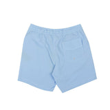 Light Blue Graphic Logo Design Swim Trunks